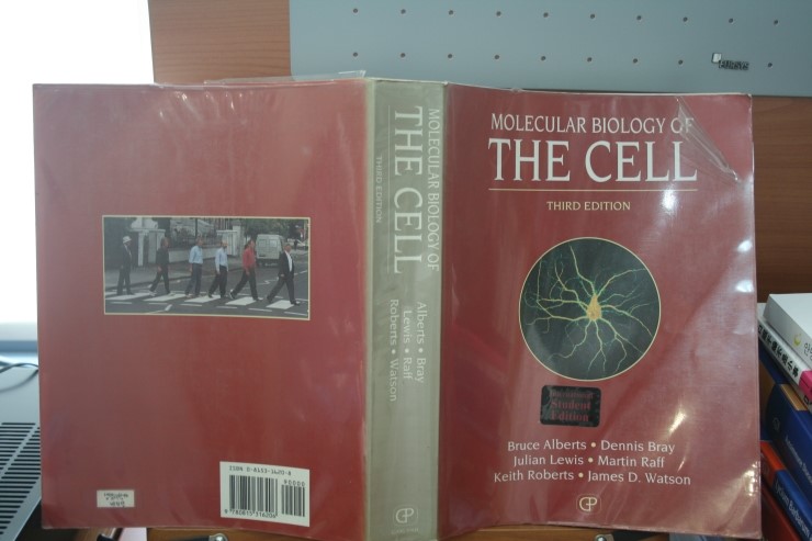 쇼그렌증후군에 나타나는 피부질환