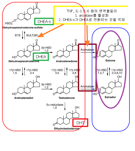 안드로겐 부족과 쇼그렌증후군 등으로 인한 안구건조증, 인천 이레 한의원