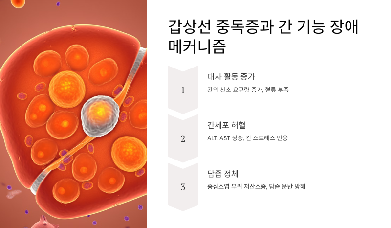 이미지3