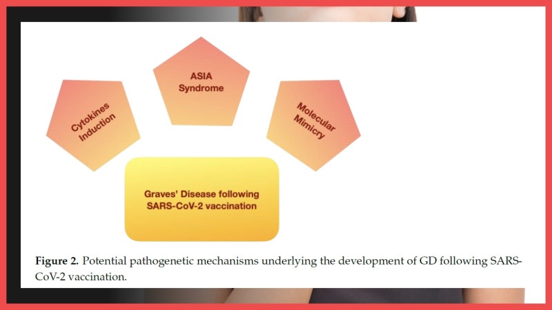 백신 접종 후 자가면역 반응 기전