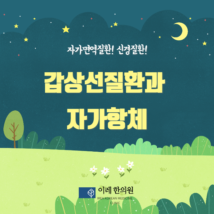 자가면역성 갑상선질환(하시모토, 그레이브스병)과 자가항체