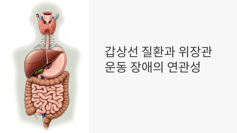 갑상선염 증상 중 소화기 관련성은 어느정도
