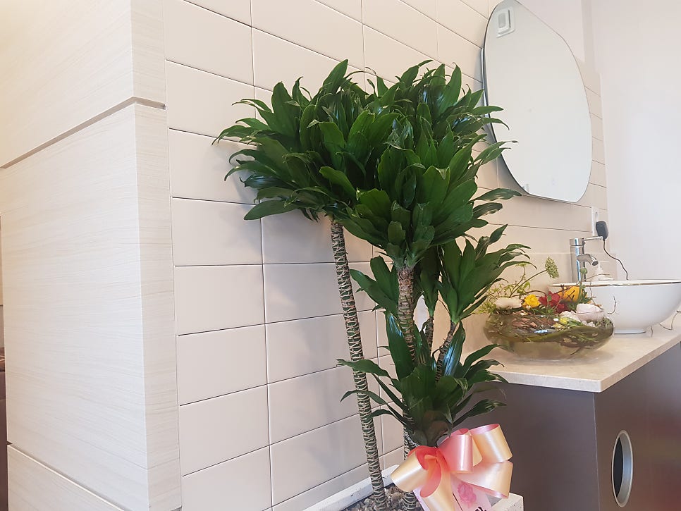 갈증 입마름의 원인과 쇼그렌증후군