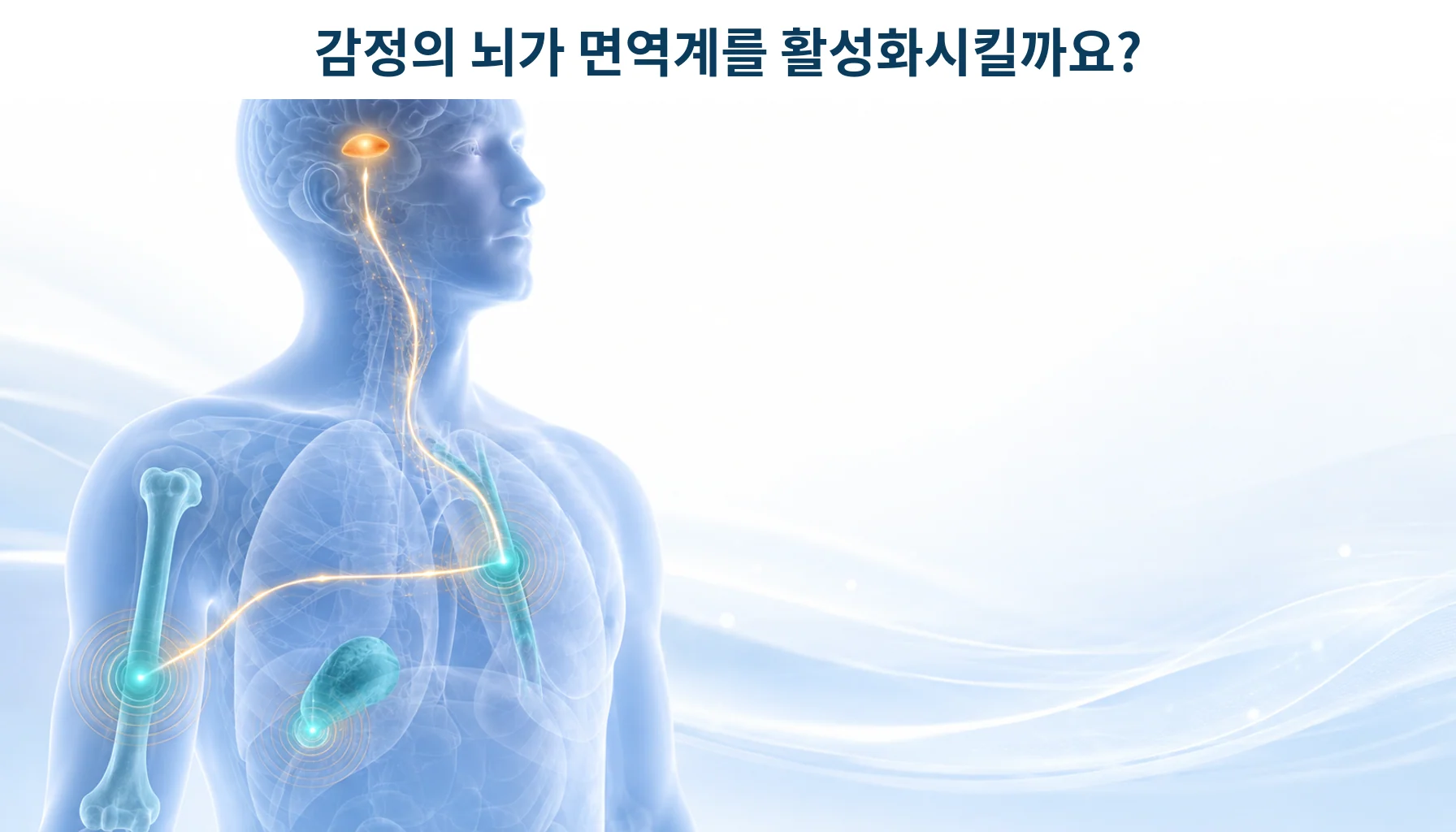 스트레스가 감정의 뇌를 거쳐 면역계를 활성화시키는 길, 그리고 「파충류의 뇌」라는 오해