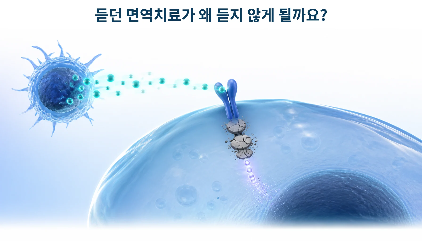 인터페론 감마와 JAK: 면역치료 반응과 저항성이 달라지는 기전