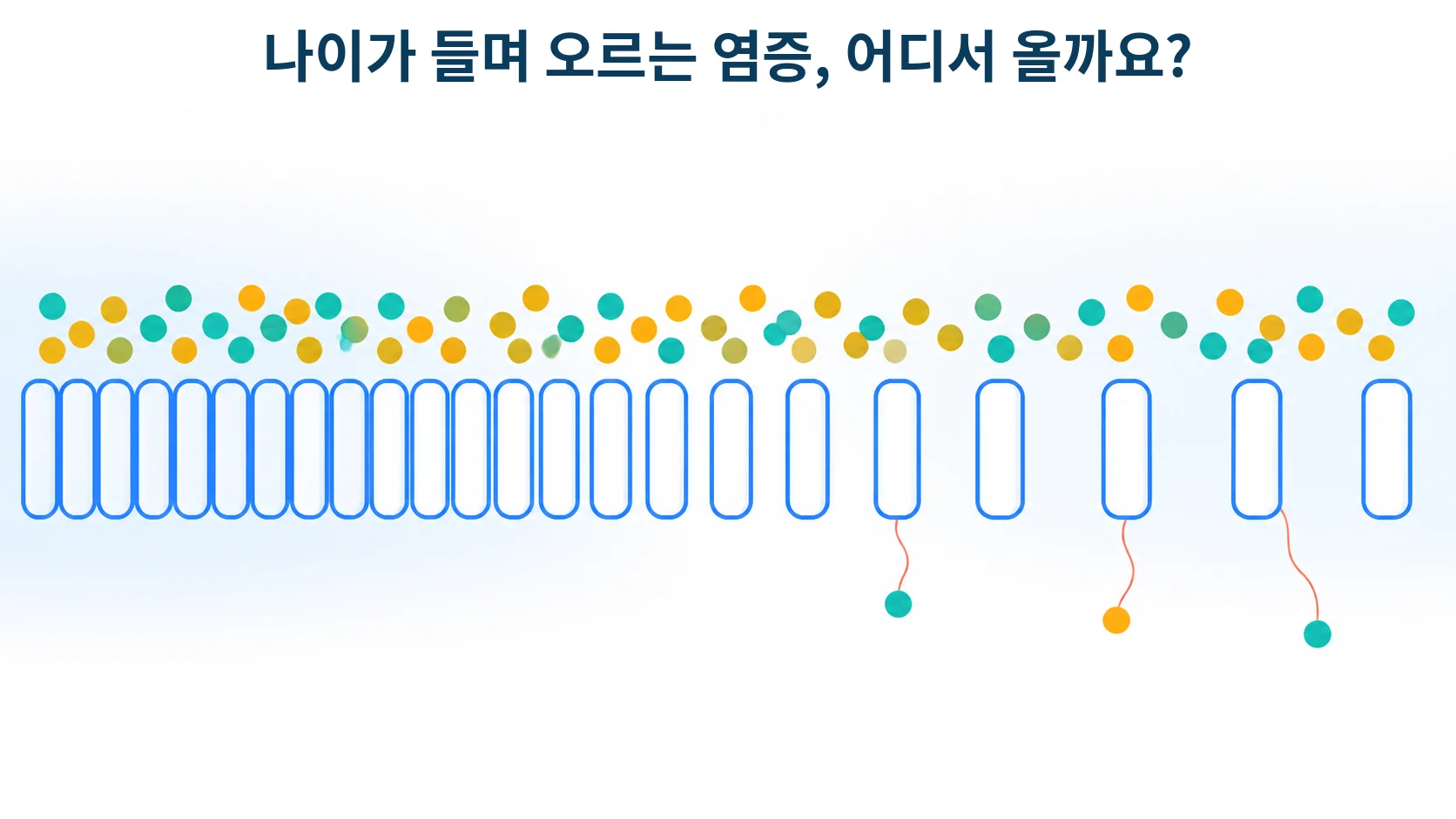 장내세균과 단쇄지방산, 나이 들며 오르는 염증이 장에서 시작될 때