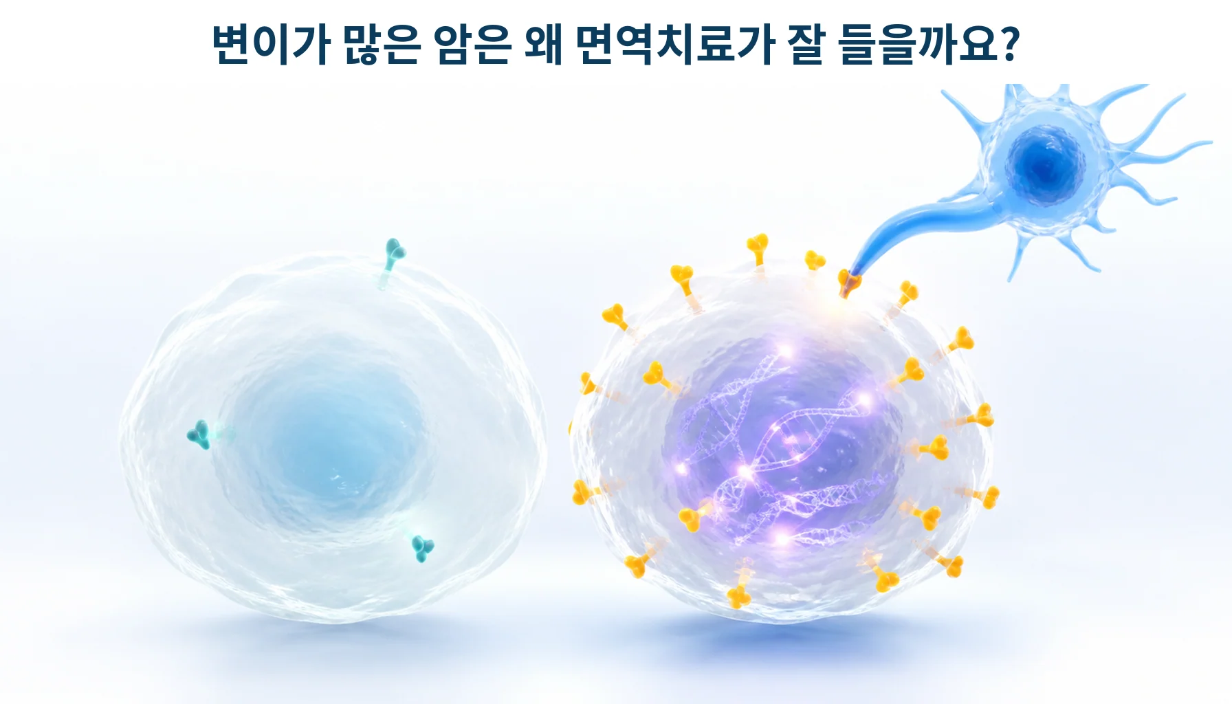 종양변이부담과 신생항원: 면역치료 반응을 어디까지 예측할까요?