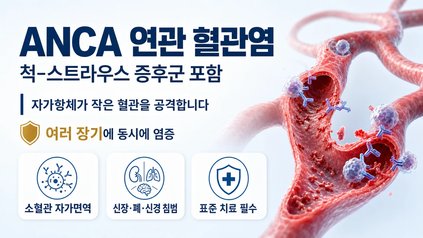 ANCA 연관 혈관염 안내 — 척-스트라우스 증후군을 포함해 자가항체가 작은 혈관을 공격하는 자가면역질환으로 신장·폐·신경 등 여러 장기를 침범함