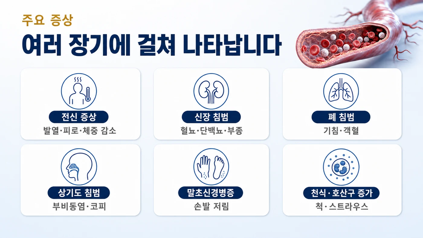 ANCA 연관 혈관염의 주요 증상 — 발열·피로·체중 감소 같은 전신 증상, 혈뇨·부종의 신장 침범, 기침·객혈의 폐 침범, 부비동염·코피, 말초신경병증, 천식·호산구 증가