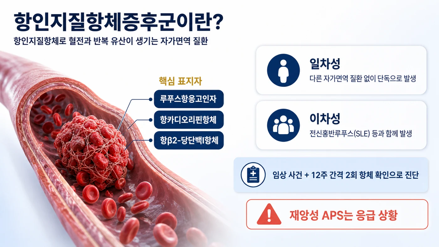 항인지질항체증후군의 정의 도해. 루푸스항응고인자·항카디오리핀항체·항β2-당단백I항체라는 핵심 표지자, 일차성과 이차성 구분, 임상 사건과 12주 간격 2회 항체 확인으로 진단한다는 점, 재앙성 APS의 응급성을 정리했습니다.
