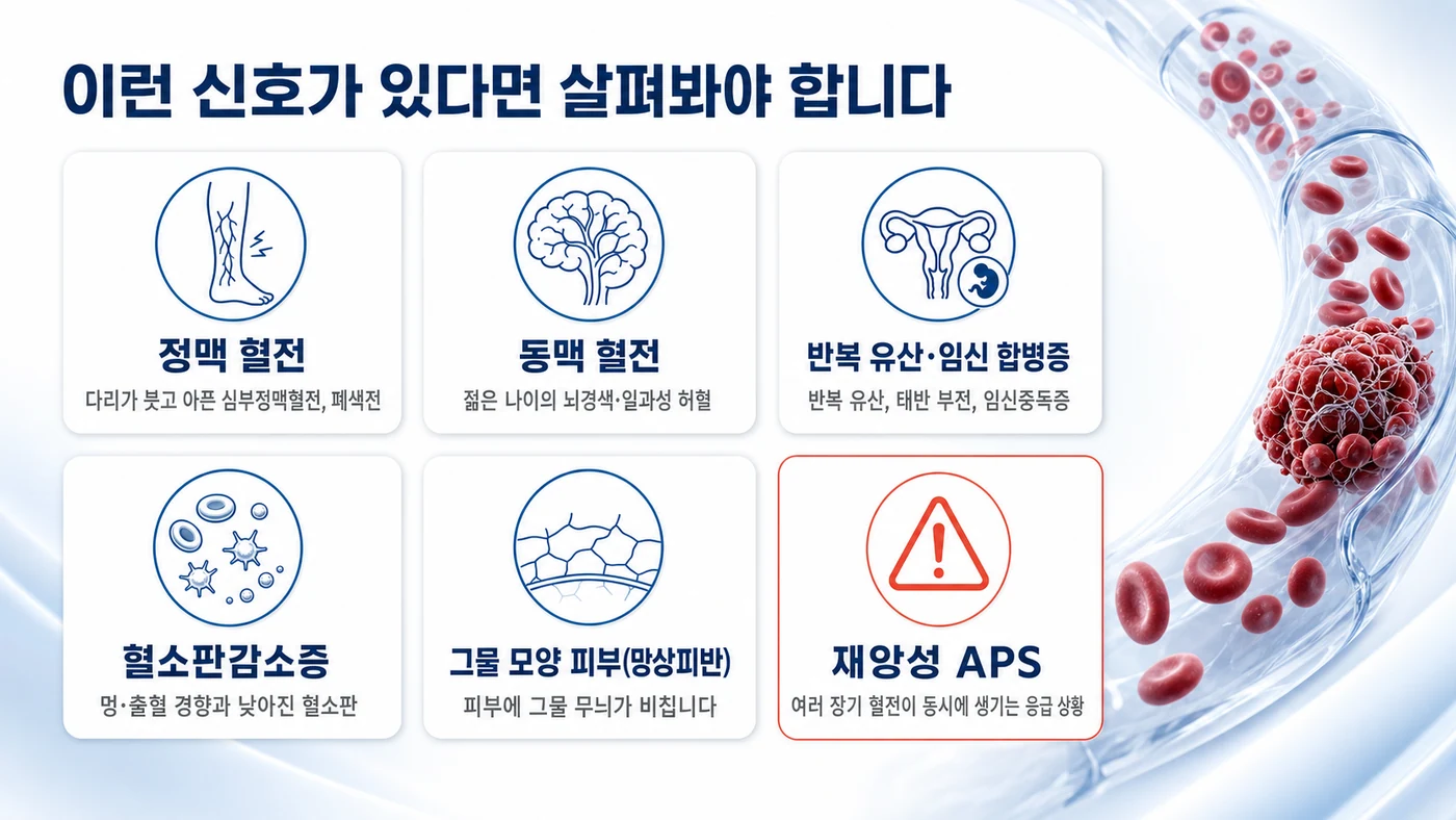 항인지질항체증후군의 주요 증상 카드. 정맥 혈전, 동맥 혈전, 반복 유산과 임신 합병증, 혈소판감소증, 그물 모양 피부(망상피반), 응급 상황인 재앙성 APS를 정리했습니다.
