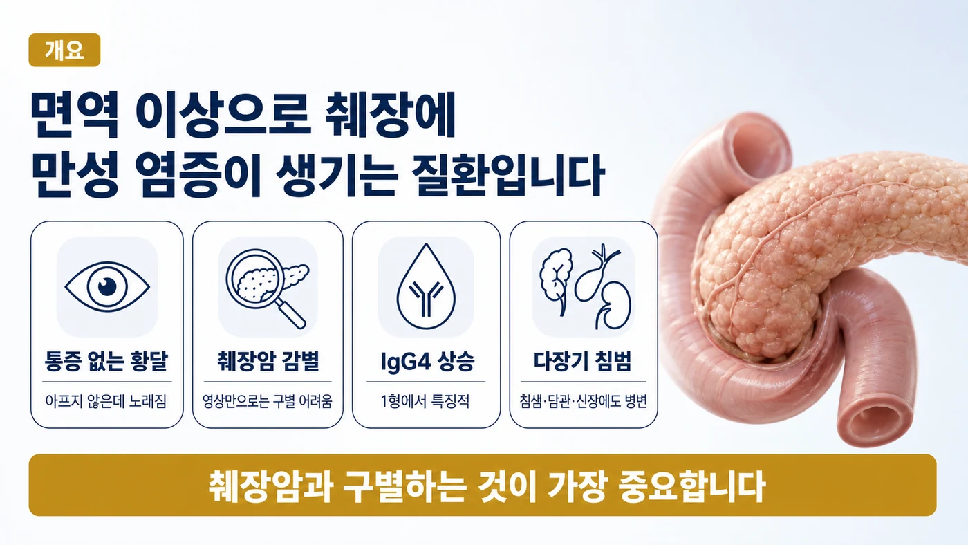 통증 없는 황달, 췌장암 감별, IgG4 상승, 다장기 침범으로 요약되는 자가면역 췌장염의 특징