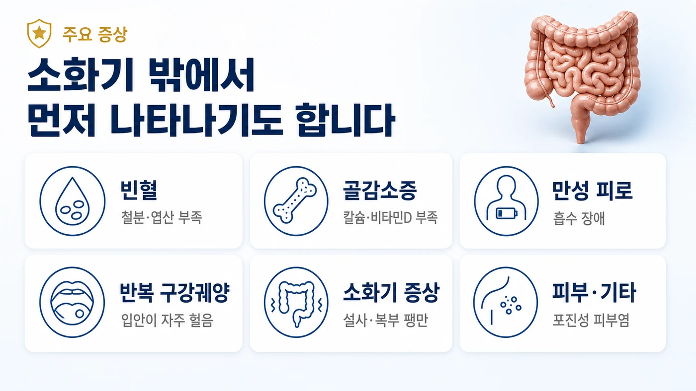 셀리악병의 주요 증상 — 빈혈, 골감소증, 만성 피로, 반복 구강궤양, 설사·복부 팽만 같은 소화기 증상, 포진성 피부염 등 전신 증상