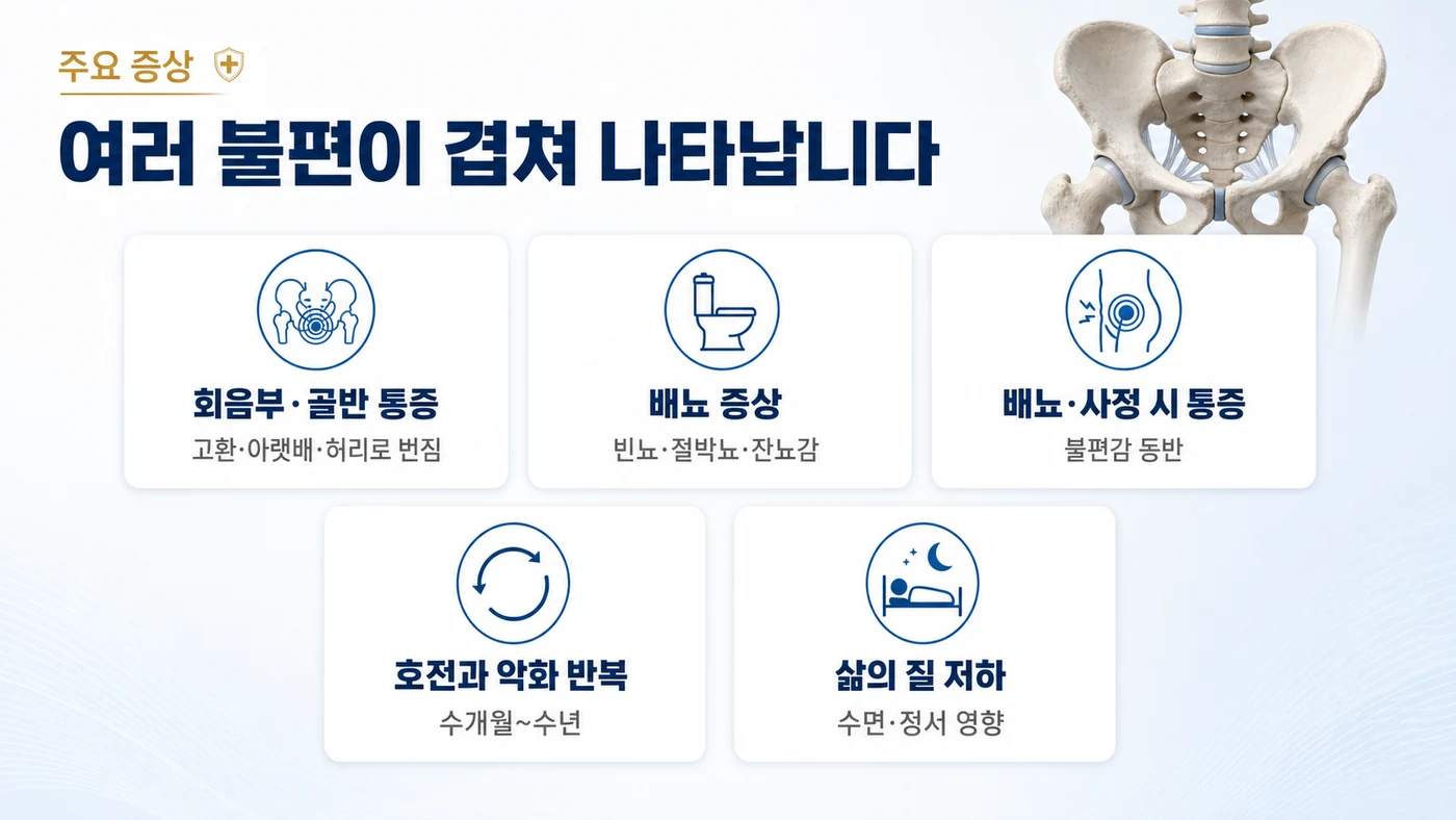 만성 비세균성 전립선염의 주요 증상 — 회음부·고환·아랫배·허리로 번지는 통증, 빈뇨·절박뇨·잔뇨감, 배뇨·사정 시 통증, 호전과 악화 반복, 삶의 질 저하
