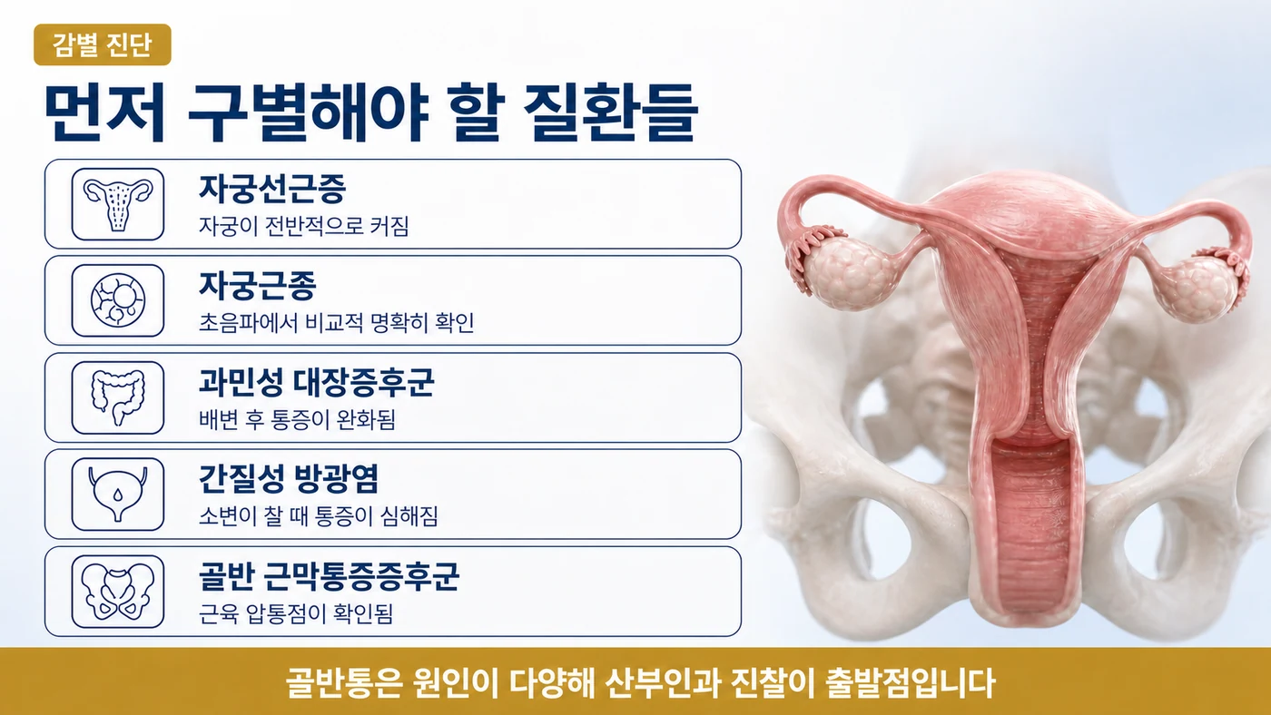 자궁선근증, 자궁근종, 과민성 대장증후군, 간질성 방광염, 골반 근막통증증후군과의 구별 지점