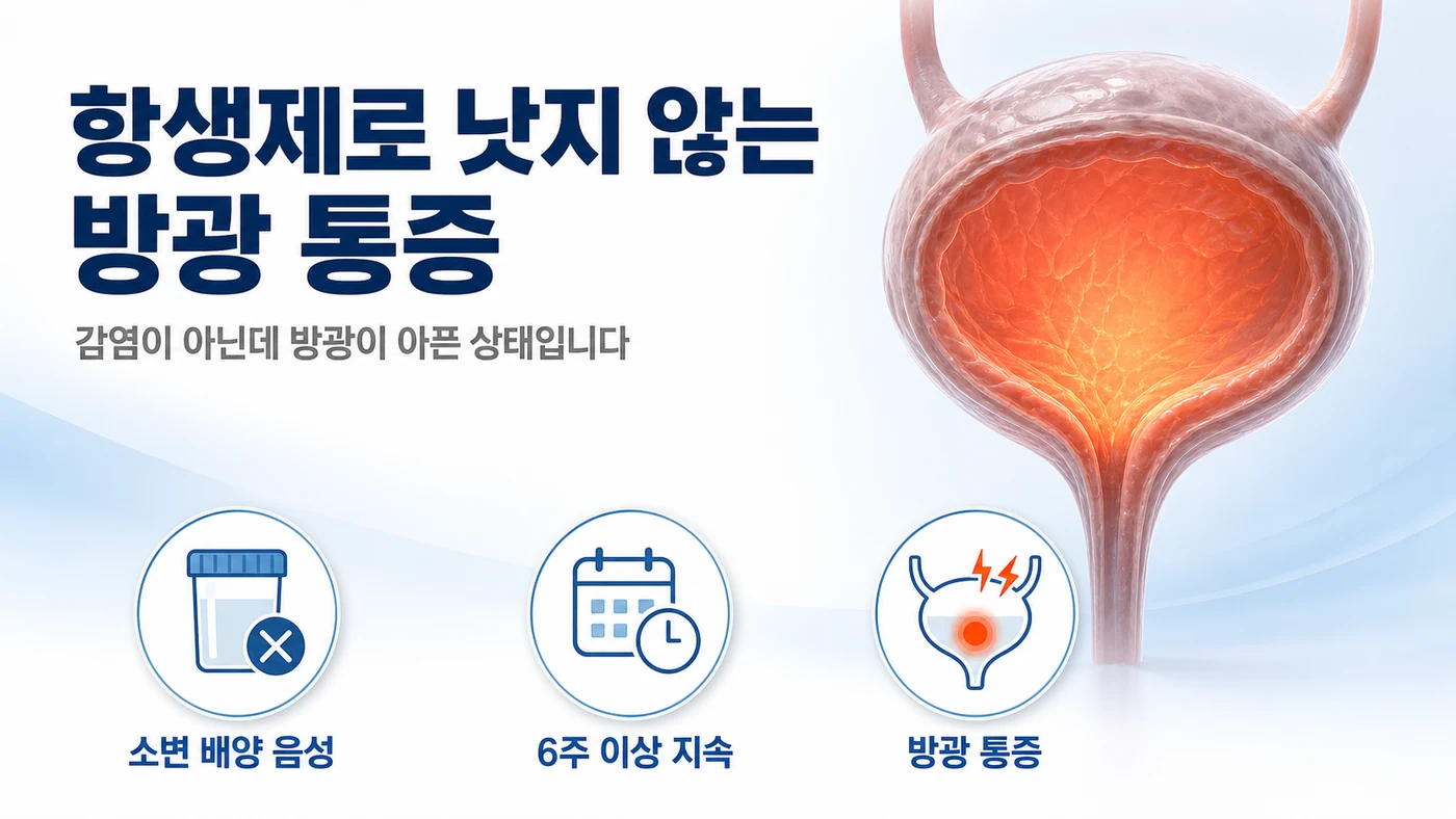항생제로 낫지 않는 방광 통증 — 감염이 아닌데 방광이 아픈 간질성 방광염