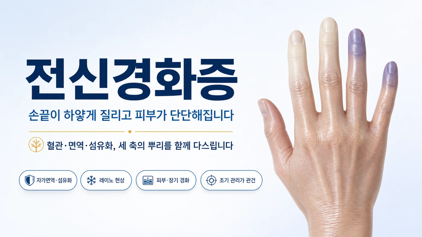 전신경화증 안내 — 손끝이 하얗게·파랗게 질리는 레이노 현상과 단단해지는 피부, 혈관·면역·섬유화의 세 축