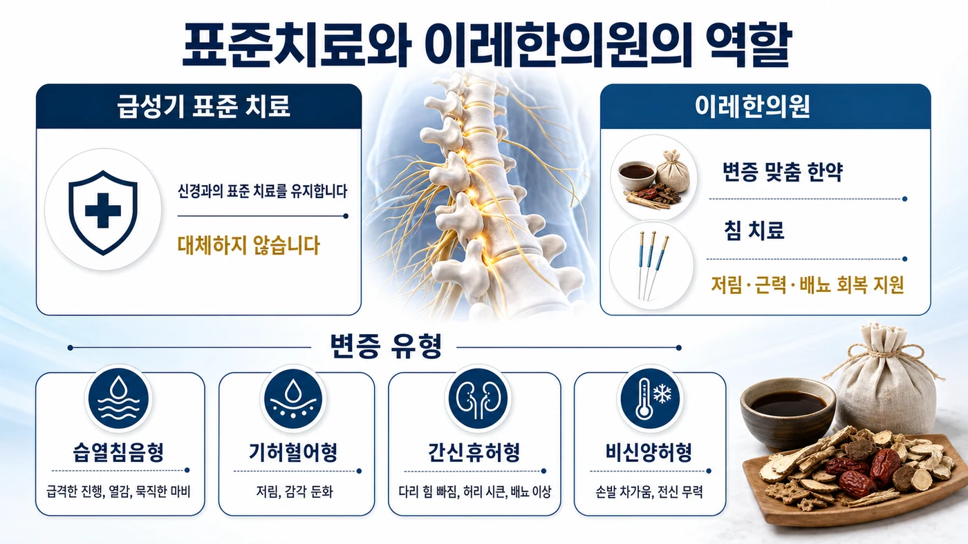 횡단성 척수염 치료 — 급성기 신경과 표준 치료를 유지하면서 이레한의원이 변증 맞춤 한약과 침 치료로 저림·근력·배뇨 회복을 돕는 구성, 습열침음형·기허혈어형·간신휴허형·비신양허형 변증 유형