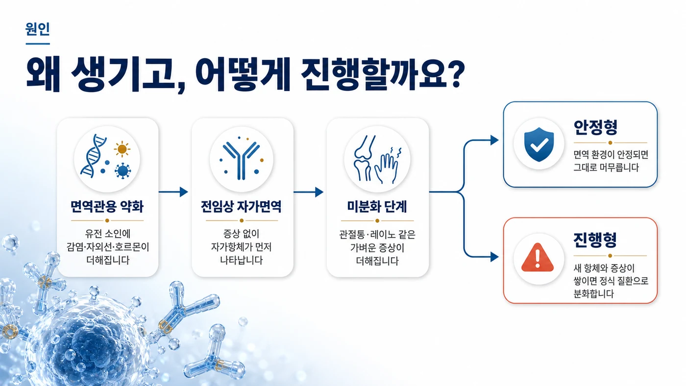 미분화 결합조직질환의 원인 — 면역관용 약화에서 전임상 자가면역, 미분화 단계를 거쳐 안정형과 진행형으로 길이 갈리는 과정